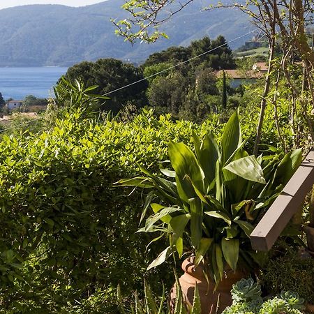 Villa Monserrato - Goelba Porto Azzurro Exterior foto